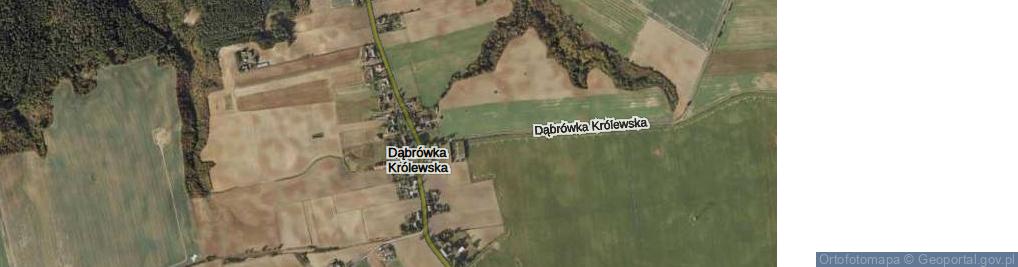Zdjęcie satelitarne Dąbrówka Królewska ul.